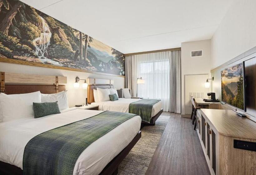 غرفة قياسية, Dollywood S Heartsong Lodge & Resort