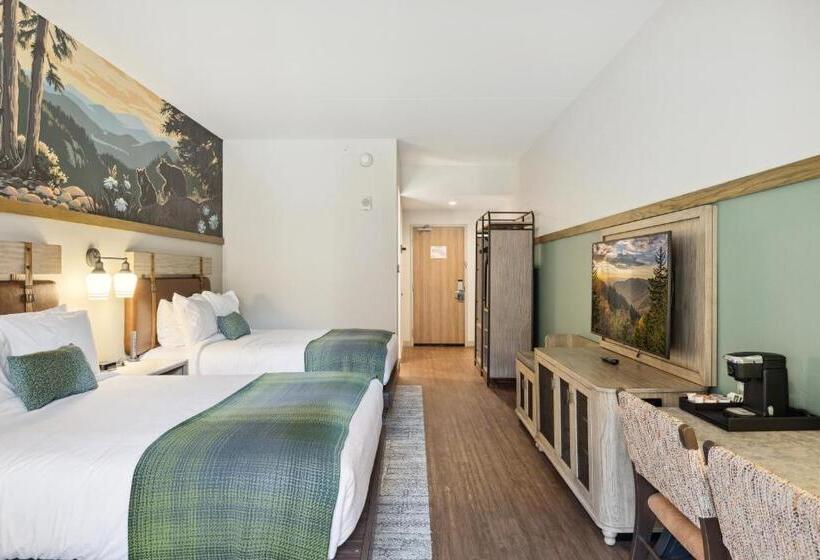 غرفة قياسية, Dollywood S Heartsong Lodge & Resort