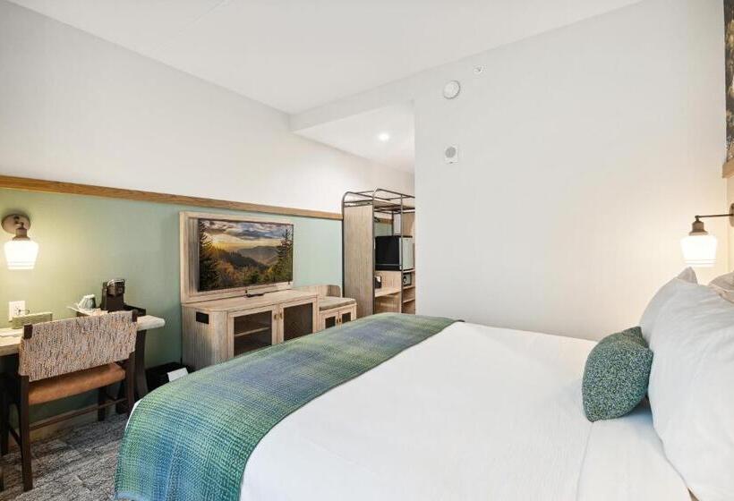 סוויטה משפחתית, Dollywood S Heartsong Lodge & Resort