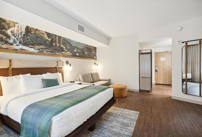 סוויטת ג'וניור, Dollywood S Heartsong Lodge & Resort