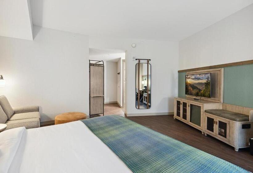 小型套房带阳台, Dollywood S Heartsong Lodge & Resort