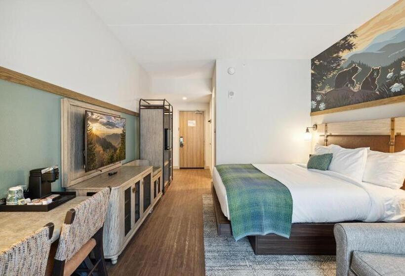 带大床的标准间, Dollywood S Heartsong Lodge & Resort