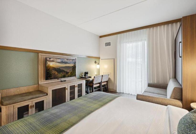 带大床的标准间, Dollywood S Heartsong Lodge & Resort