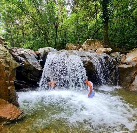 Номер Стандарт, Sierra Mamey