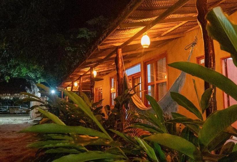 家庭间, Sierra Mamey