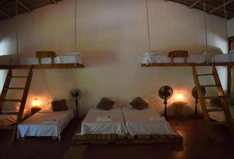 家庭间, Sierra Mamey