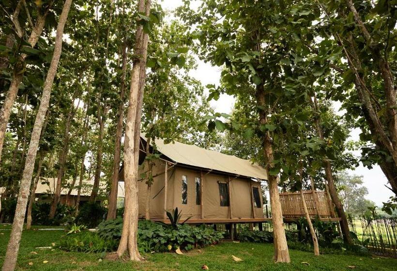 סוויטה, Visama Mae Chan