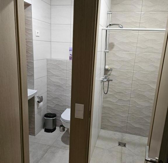 اتاق استاندارد با سرویس بهداشتی مشترک, Kauno Apartamentai