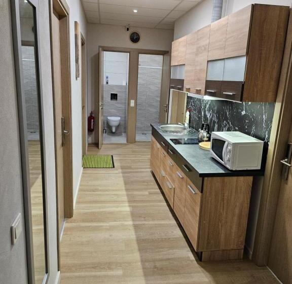 اتاق استاندارد با سرویس بهداشتی مشترک, Kauno Apartamentai