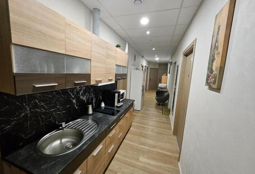 اتاق استاندارد با سرویس بهداشتی مشترک, Kauno Apartamentai