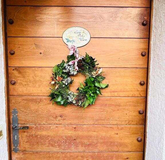 标准房带园景, Tellahouse