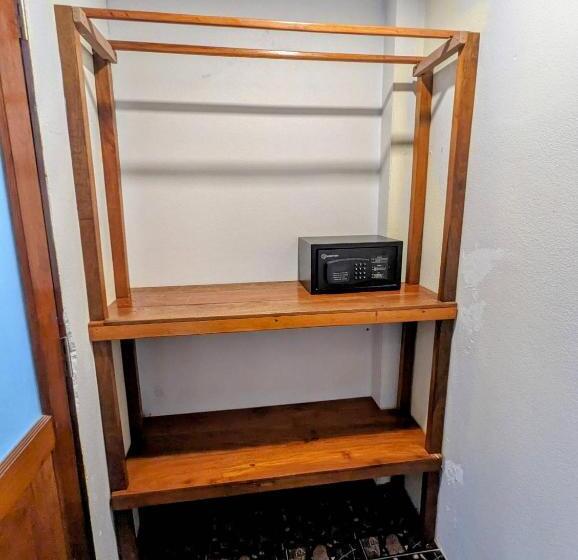 디럭스 방갈로, Ziggy Stardust