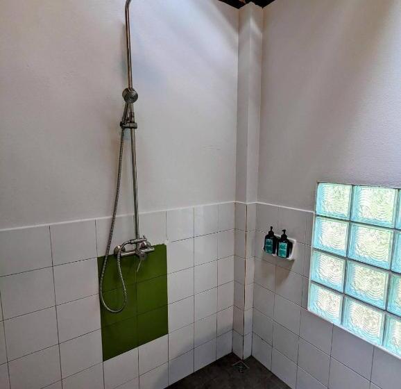 디럭스 방갈로, Ziggy Stardust