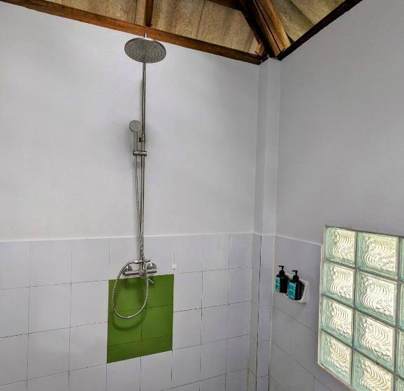 디럭스 룸, Ziggy Stardust