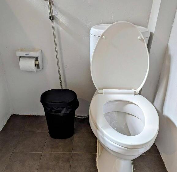 스탠다드 방갈로, Ziggy Stardust