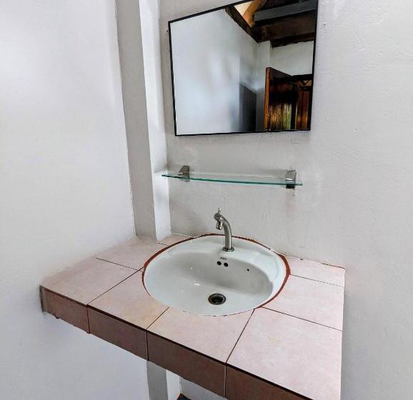 스탠다드 방갈로, Ziggy Stardust