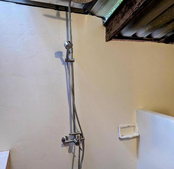 스탠다드 발코니 룸, Ziggy Stardust