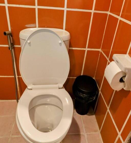 스탠다드 방갈로, Ziggy Stardust