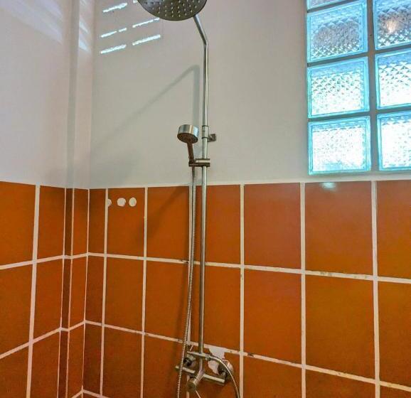 스탠다드 방갈로, Ziggy Stardust