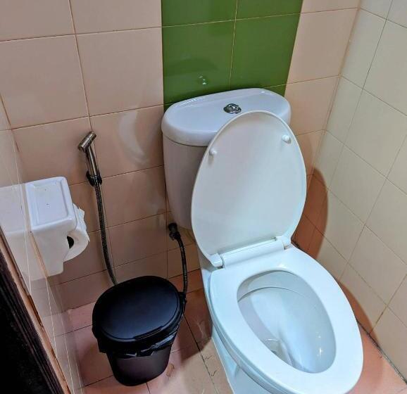 수피리어 방갈로, Ziggy Stardust