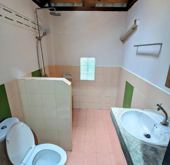 수피리어 방갈로, Ziggy Stardust