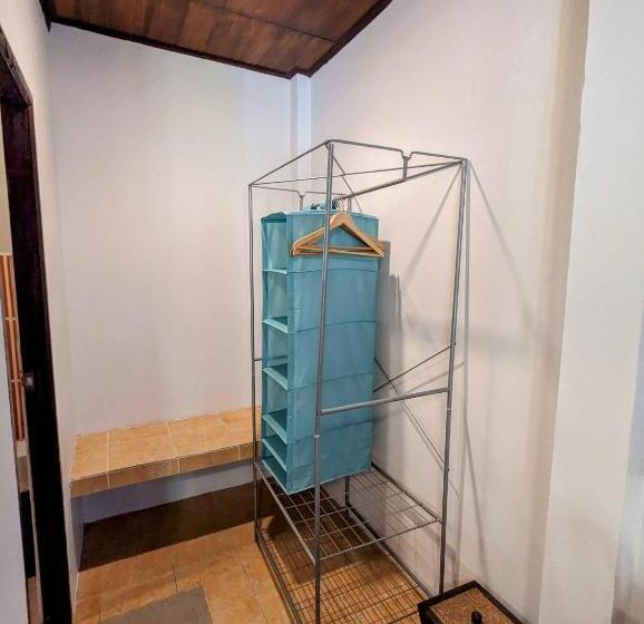 스탠다드 방갈로, Ziggy Stardust