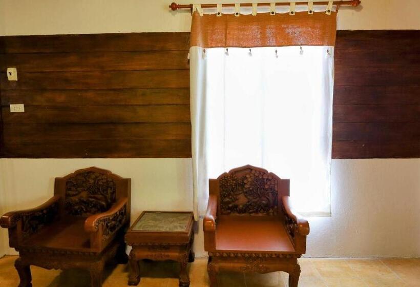 스탠다드 방갈로, Ziggy Stardust