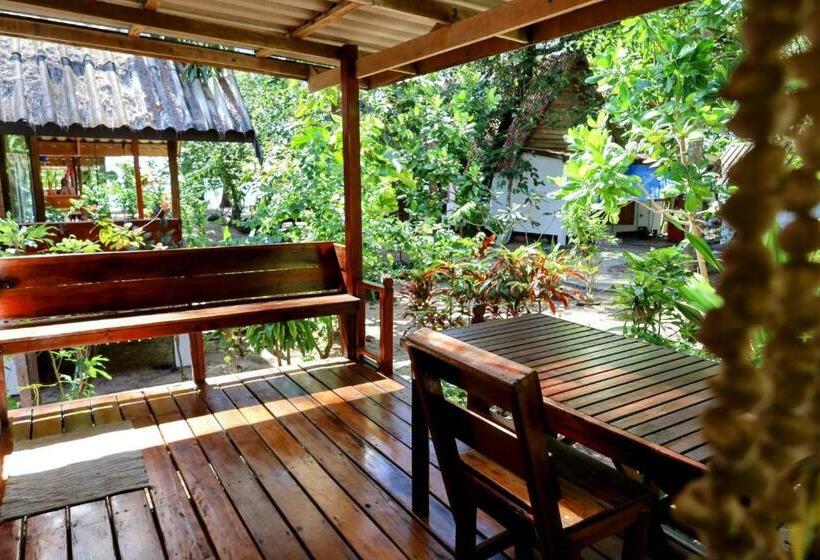 스탠다드 방갈로, Ziggy Stardust