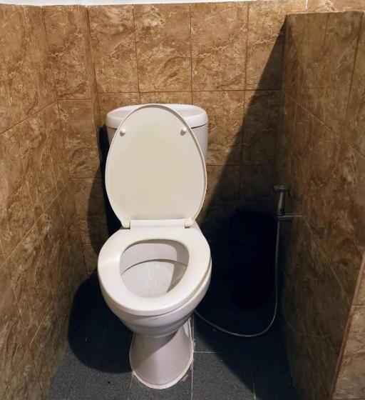 스탠다드 방갈로, Ziggy Stardust