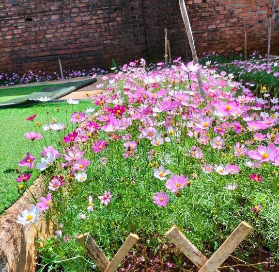 اتاق لوکس یک تخته, Homestay Hơ đơng