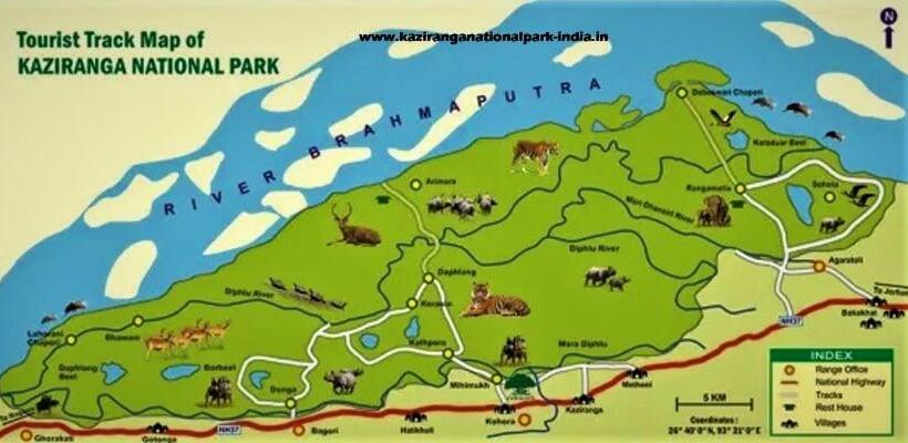 带大床的豪华间, Kohua Bon   Kaziranga