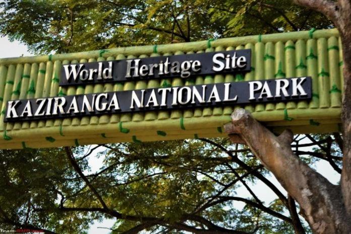 带大床的豪华间, Kohua Bon   Kaziranga