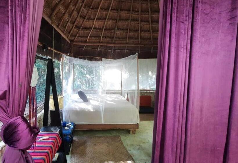 חדר סטנדרט, Toto Aiko