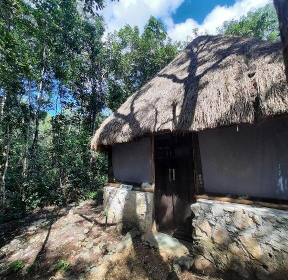 חדר סטנדרט לשלושה, Toto Aiko