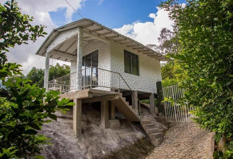 Standardzimmer, Casapiedra Natural