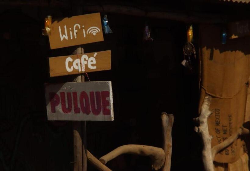 اتاق استاندارد, Posada Reataurante Frida Kahlo