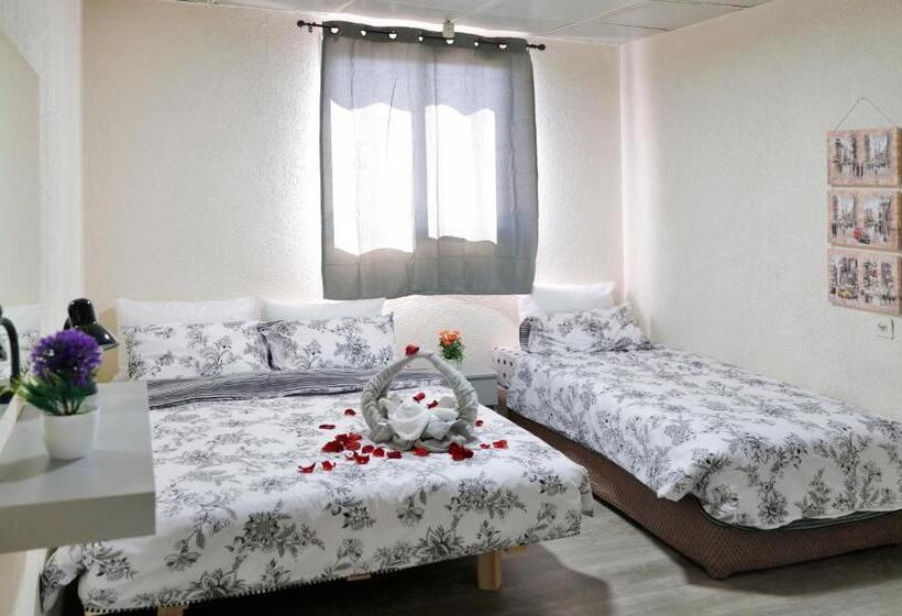 이코노미 트리플 룸, Motel Neve Midbar מוטל נווה מדבר