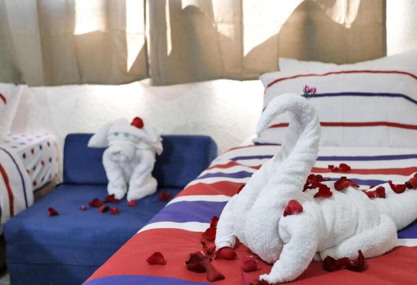 스탠다드 룸, Motel Neve Midbar מוטל נווה מדבר