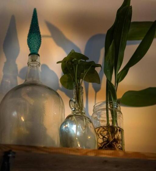 غرفة قياسية حمام مشترك, Oliva Guesthouse