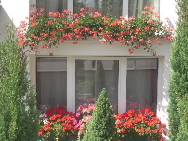 Standard-huone Allasnäkymä, Suite Eugenie Piscine Maison Blanche Tulle