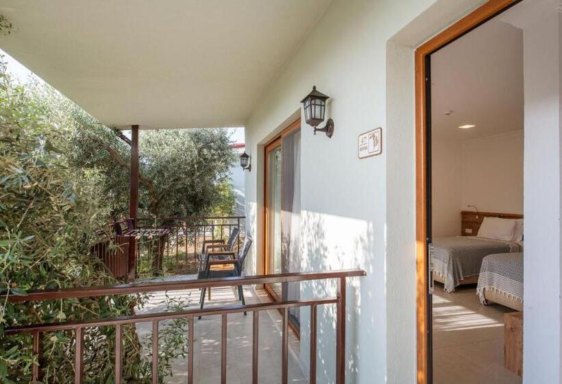 标准间, Ephesus Retreat