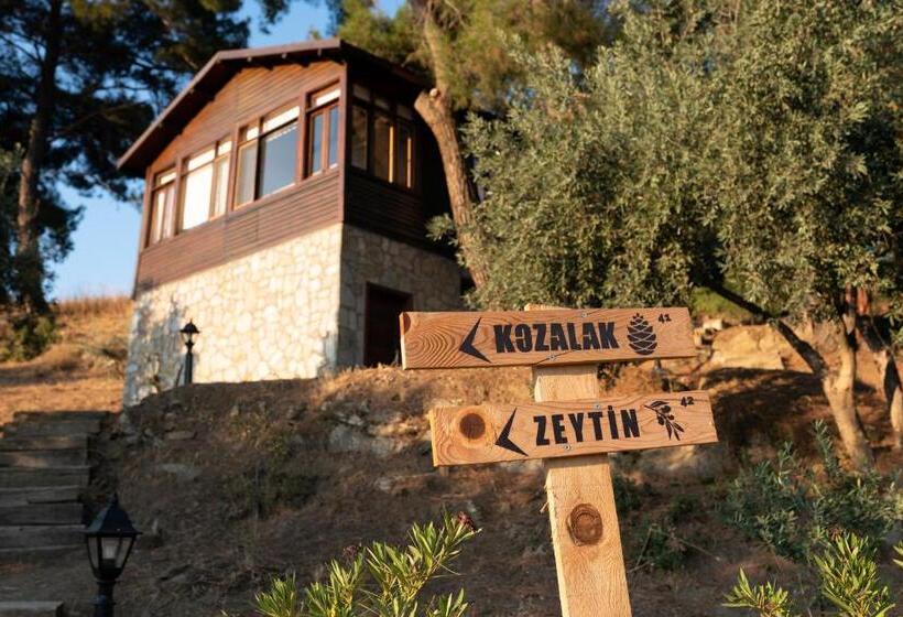 标准平房, Ephesus Retreat