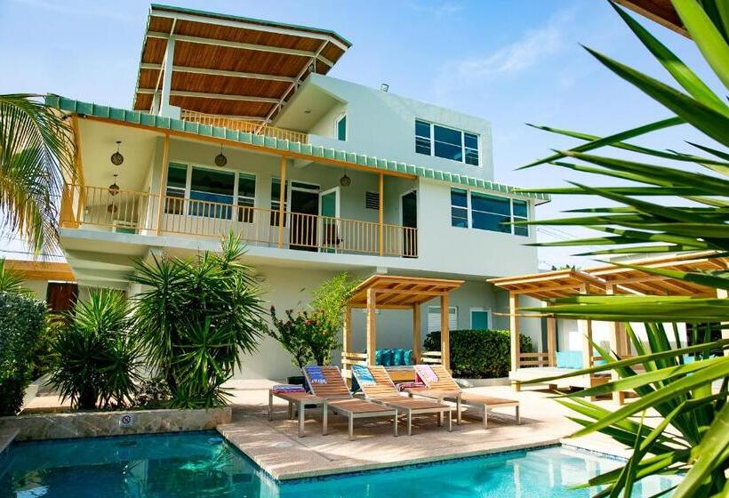 اتاق استاندارد, Numero Uno Piñones