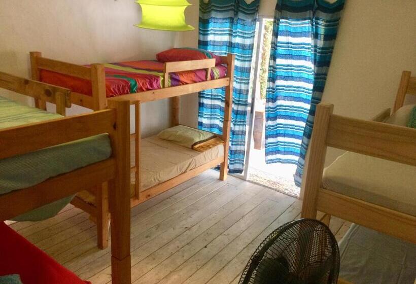 מיטה בחדר משותף, La Gozadera House