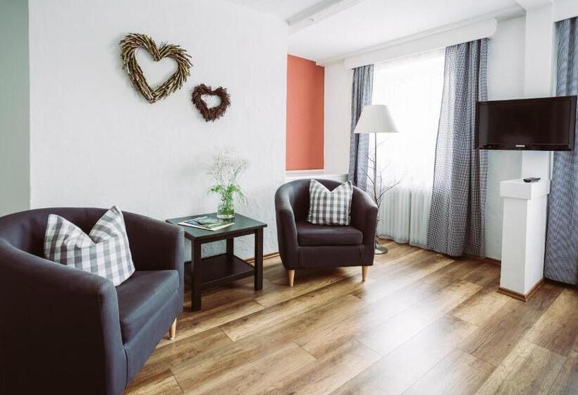 스탠다드 룸, Der Bären In Zell