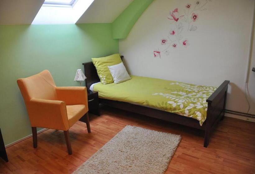 اتاق استاندارد یک نفره, Guest House Mines