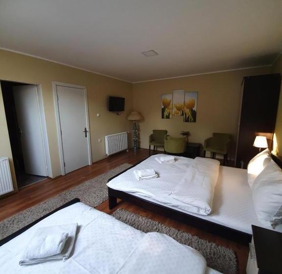 اتاق کلاسیک سه تخته, Guest House Mines