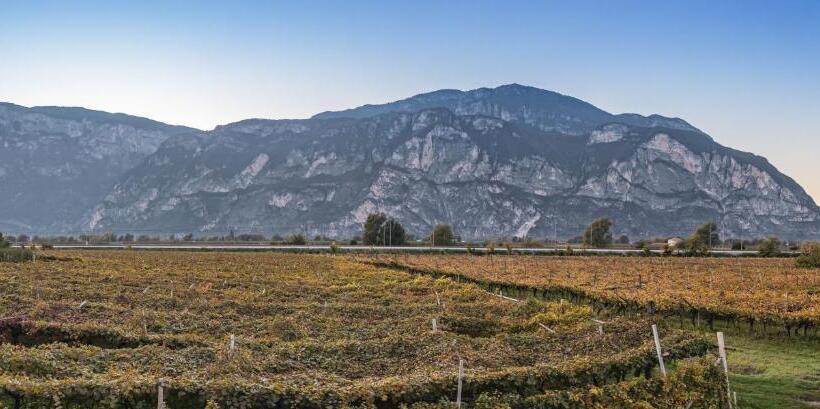 غرفة قياسية مطلة على الجبل, Agriturismo Sicher