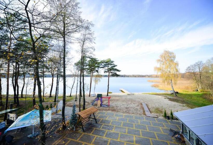 Номер Deluxe, Forest