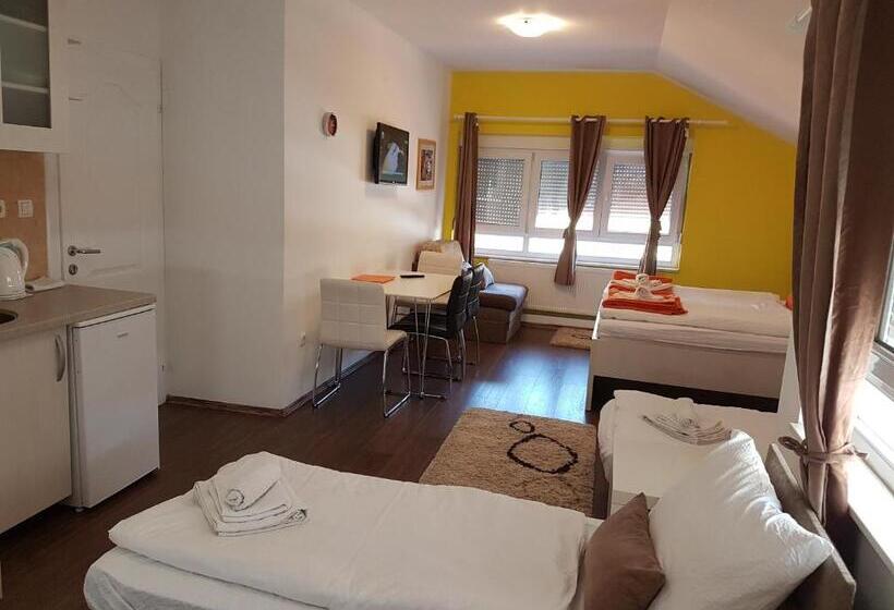 استودیو استاندارد با تخت کینگ, Apple Line Appartments